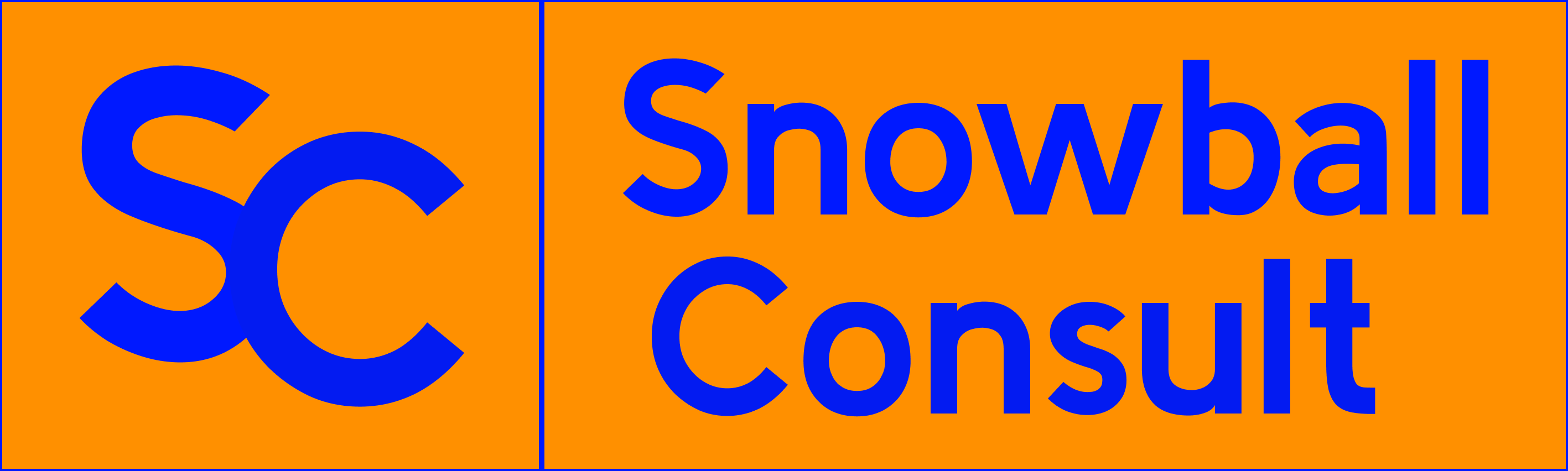 Snowball Consult